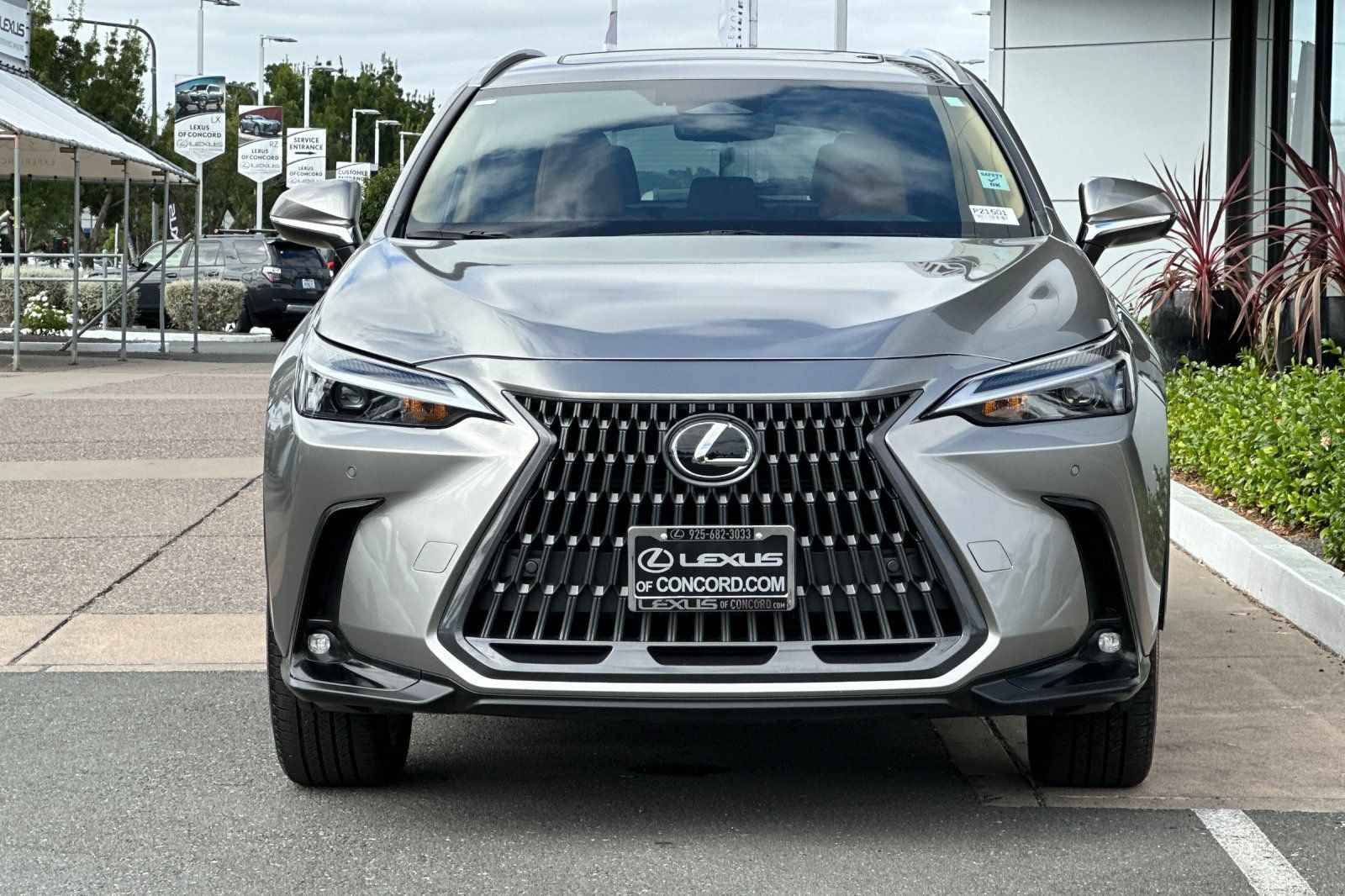 Certified 2025 Lexus NX 350h AWD w/ Cold Area Package image 6