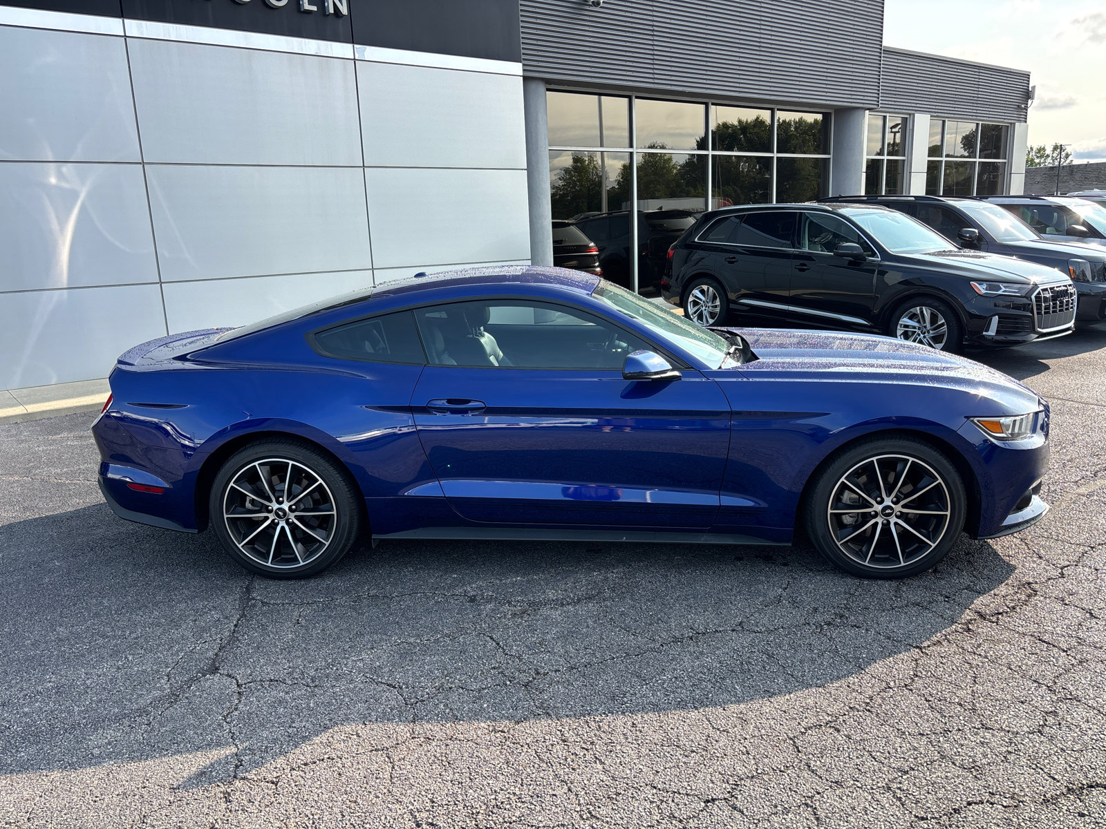 Used 2016 Ford Mustang Premium w/ Wheel & Stripe Package RWD image 8