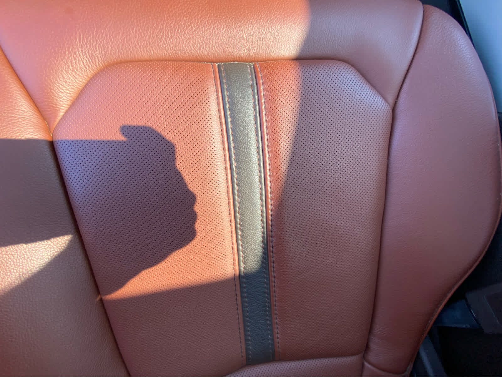 Used 2019 Ford F150 King Ranch w/ Equipment Group 601A Luxury AWD/4WD image 39