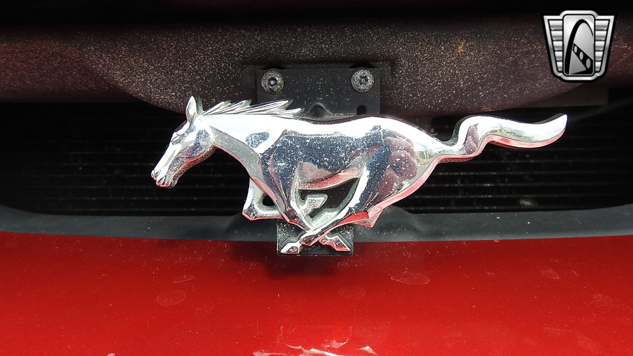 Used 2001 Ford Mustang Cobra image 10