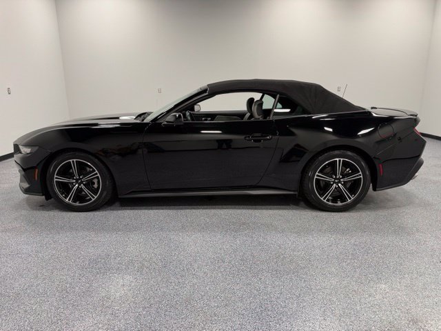 Used 2024 Ford Mustang Premium RWD image 5