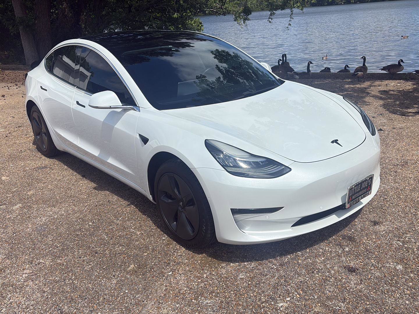 Used 2019 Tesla Model 3 Standard Range RWD image 2
