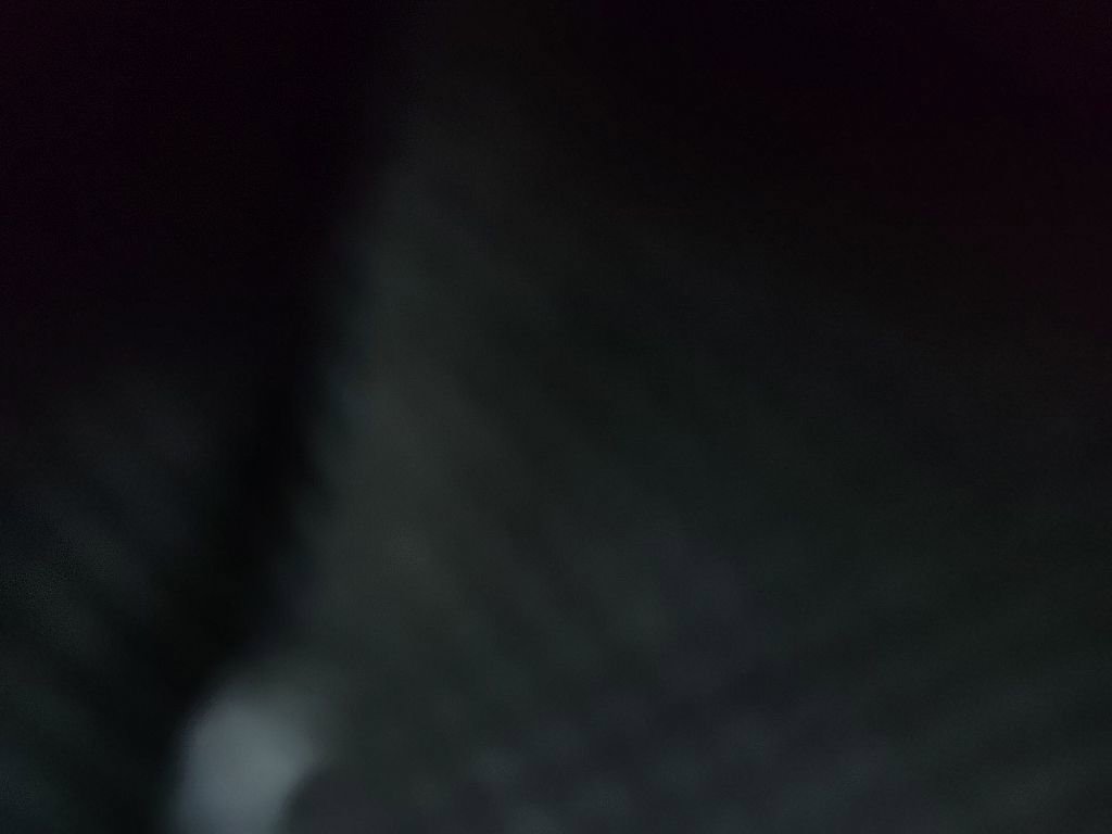 Used 2021 Ford Explorer XLT image 15