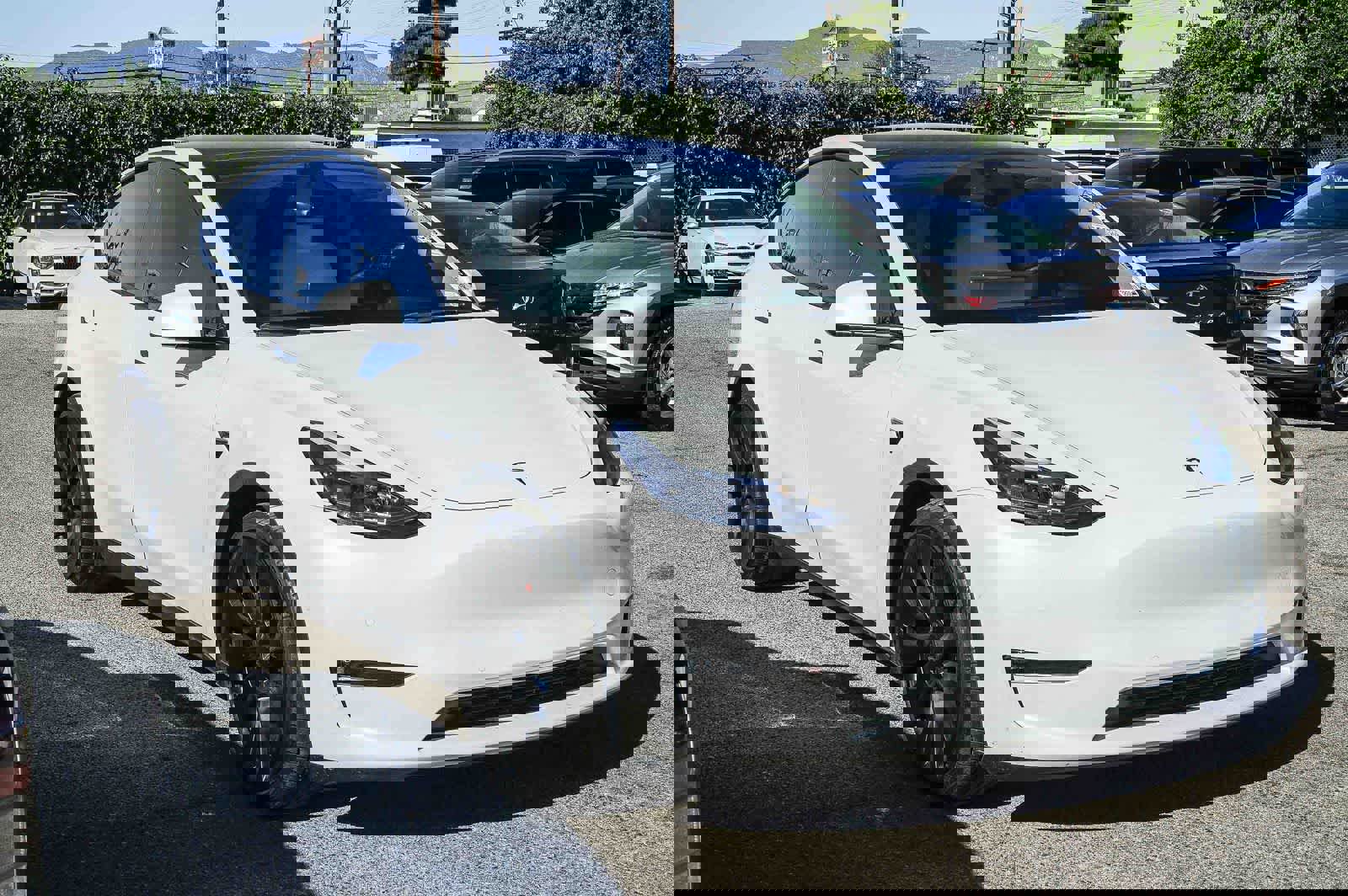 Used 2022 Tesla Model Y Performance image 5