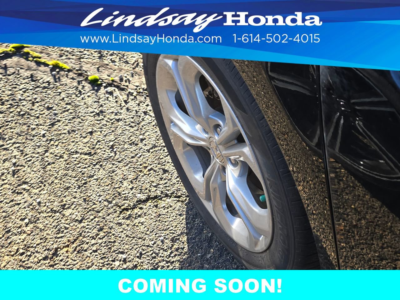 Used 2024 Honda Accord LX image 16