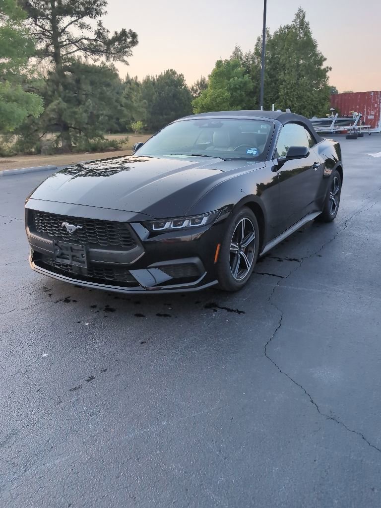 Used 2024 Ford Mustang Premium RWD image 1