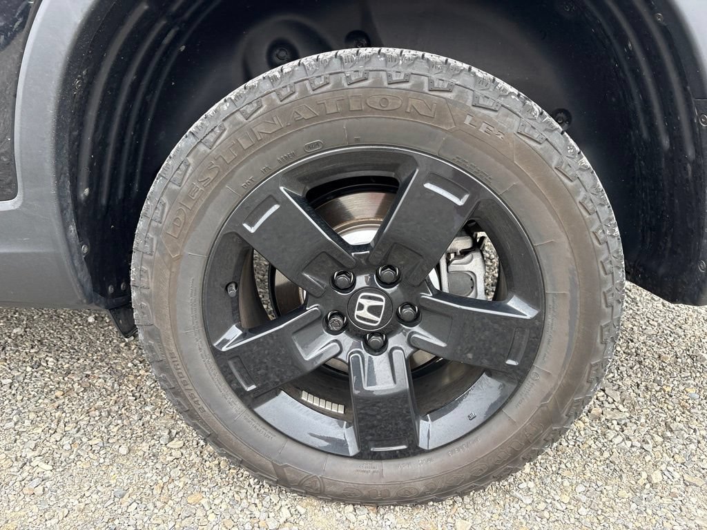Used 2025 Honda Ridgeline Black Edition image 6