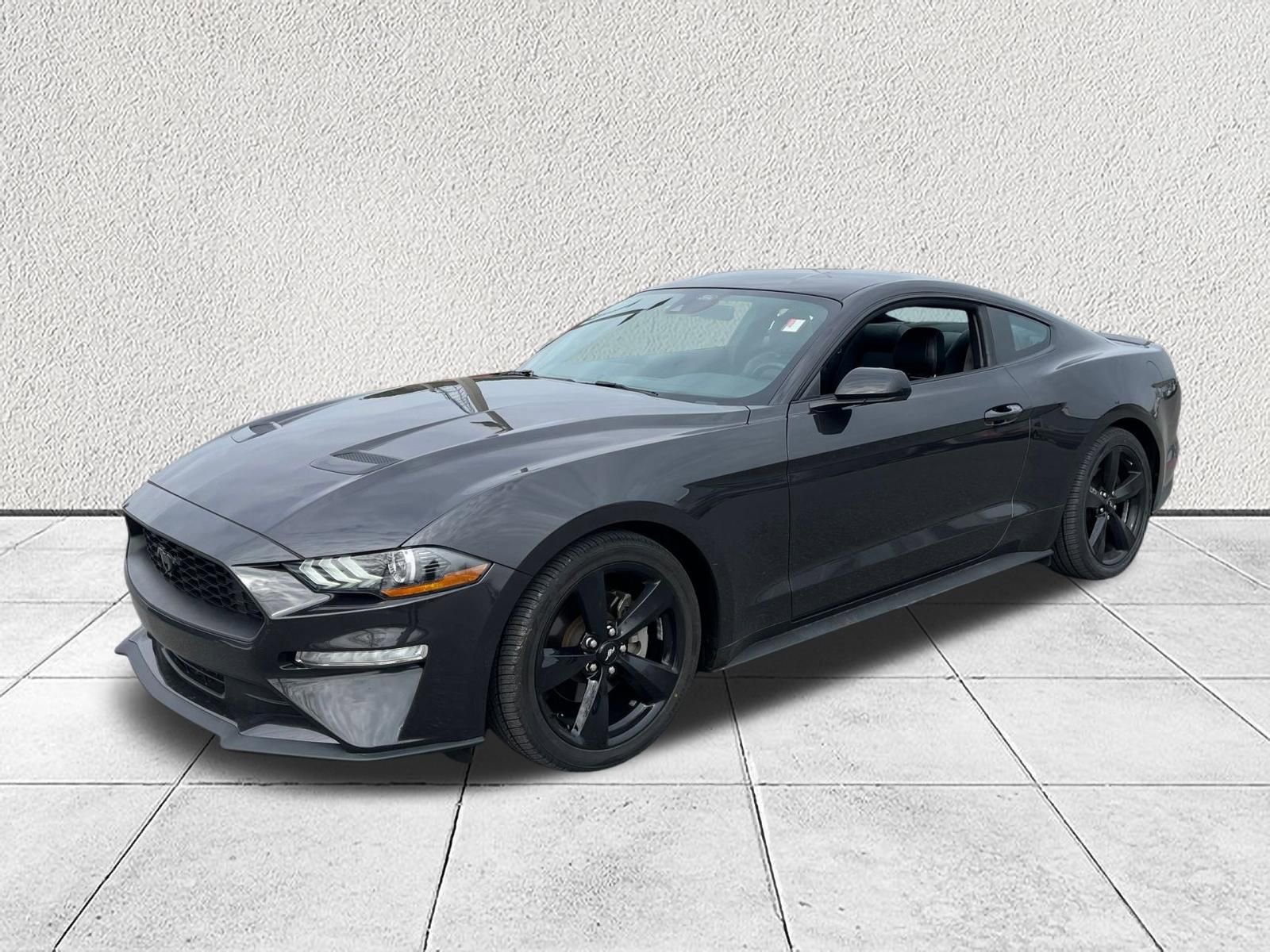 Used 2023 Ford Mustang Premium w/ Mustang Nite Pony Package image 4