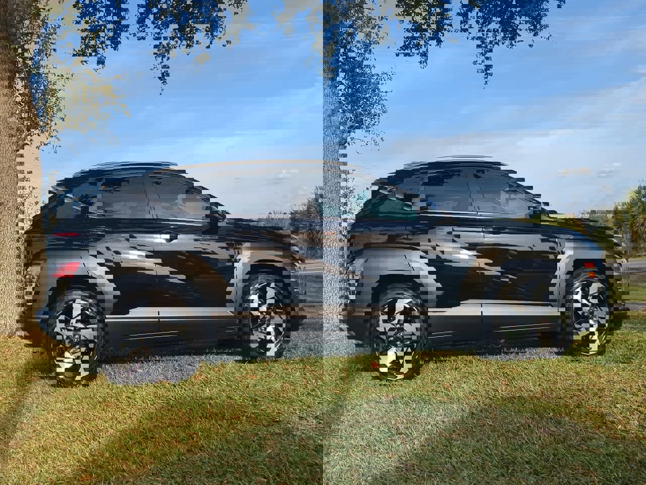 Used 2024 Hyundai Kona Limited image 3