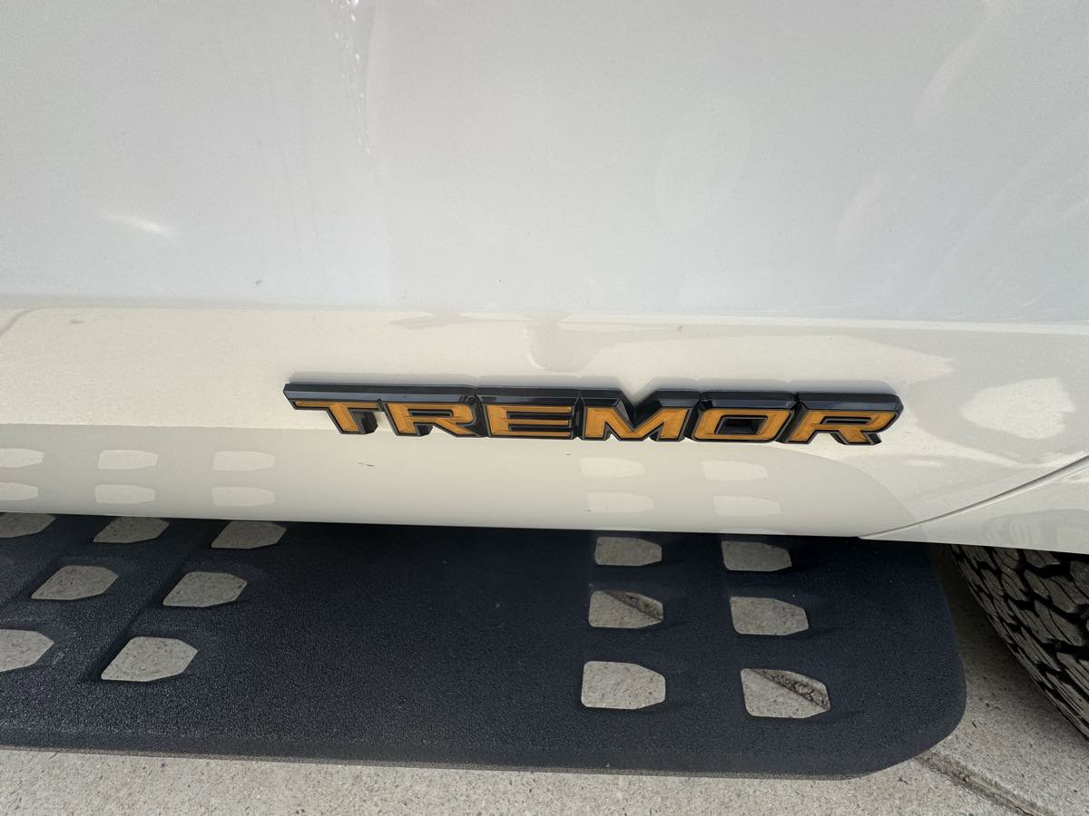Used 2025 Ford Expedition Tremor image 31