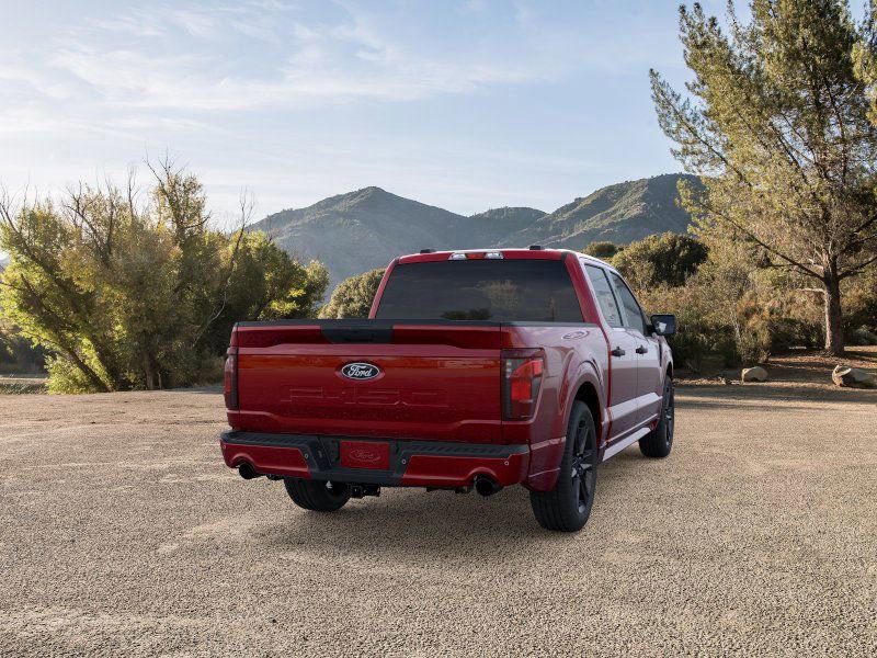 New 2025 Ford F150 STX w/ LOBO Package image 8