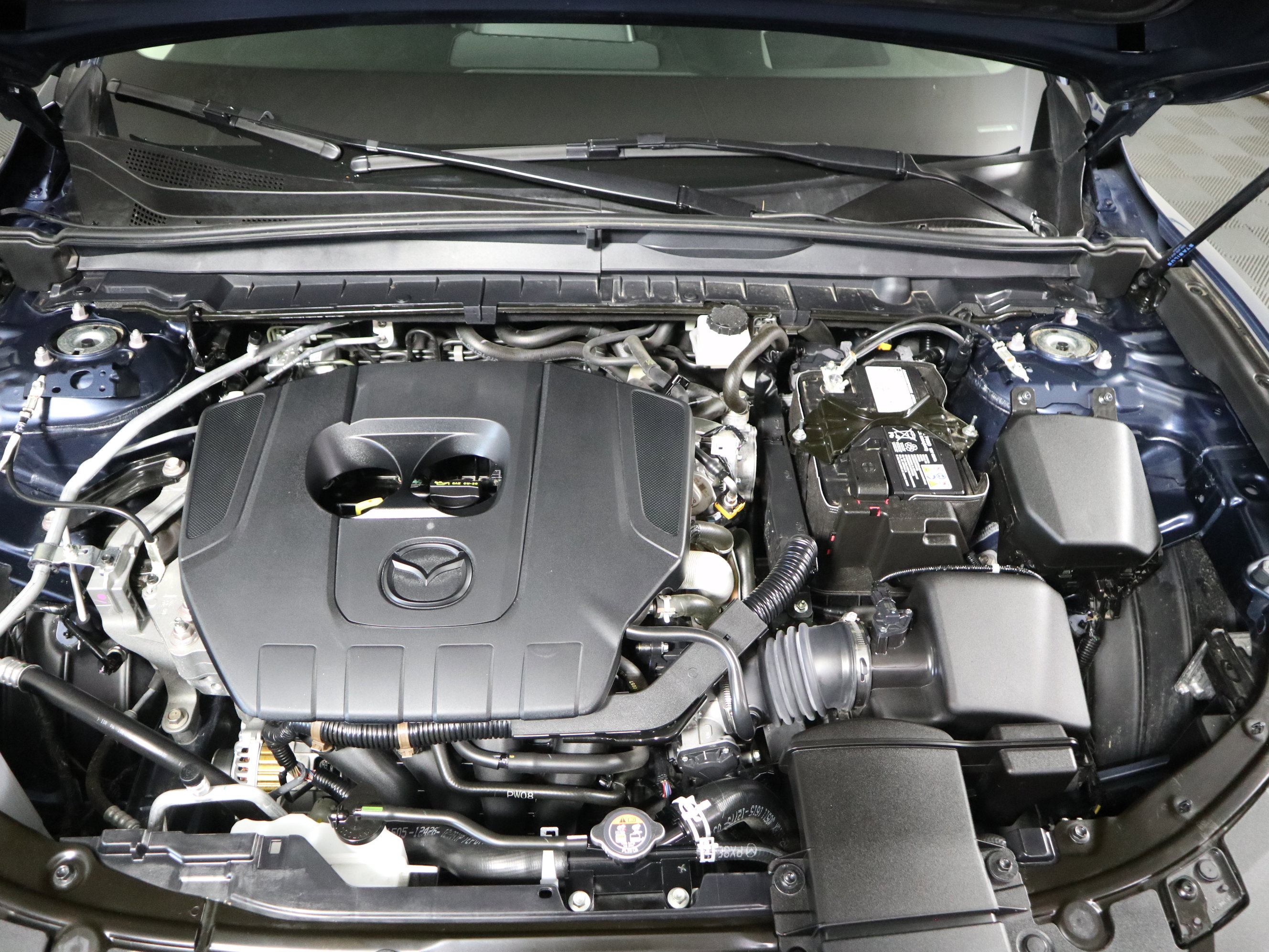 Certified 2025 MAZDA CX-50 AWD 2.5 S w/ Premium Plus Pkg image 12