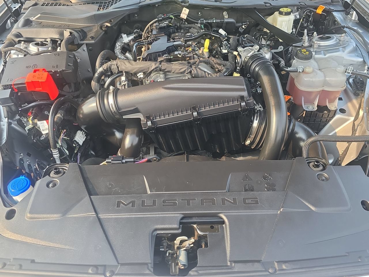 Used 2024 Ford Mustang Premium RWD image 30