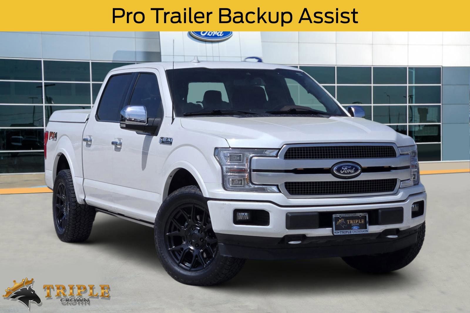 Used 2019 Ford F150 Platinum w/ Equipment Group 701A Luxury image 1