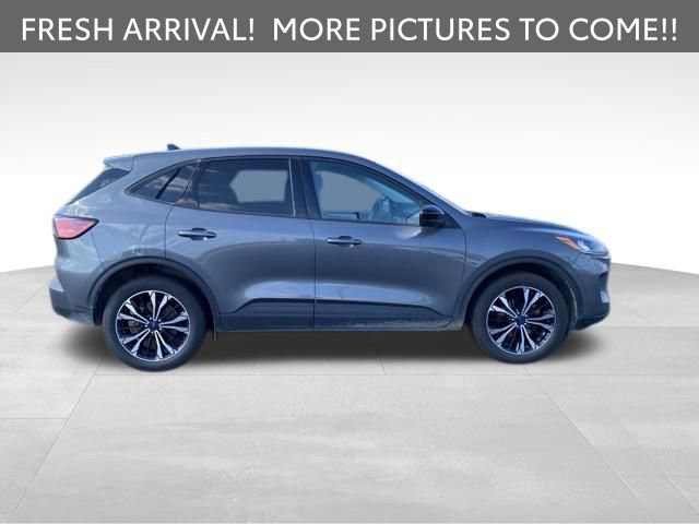 Used 2022 Ford Escape SE w/ SE Sport Appearance Package AWD/4WD image 4