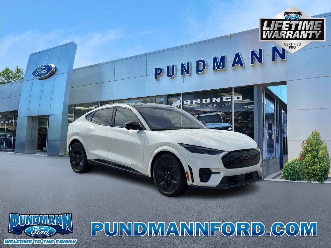 New 2025 Ford Mustang Mach-E GT w/ Interior Protection Package image 1