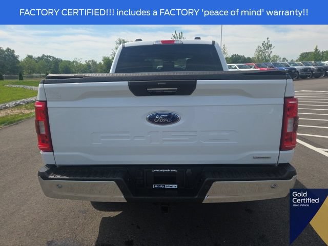 Used 2023 Ford F150 XLT w/ Equipment Group 301A Mid RWD image 14