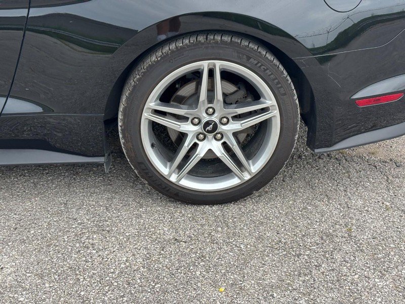 Used 2019 Ford Mustang GT Premium w/ GT Performance Package RWD image 12