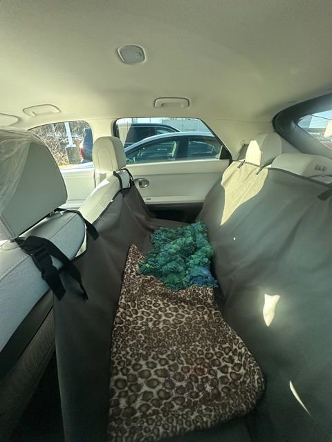 Used 2023 Hyundai Ioniq 5 SEL w/ Cargo Package image 16