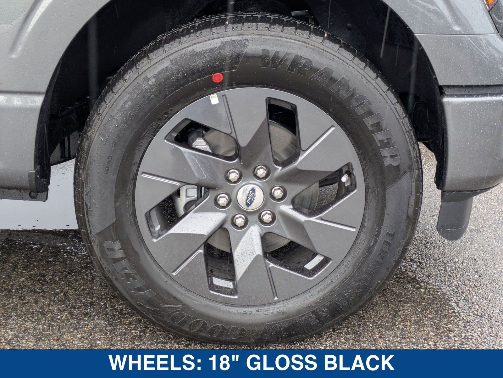 New 2025 Ford F150 STX w/ Equipment Group 200A image 12