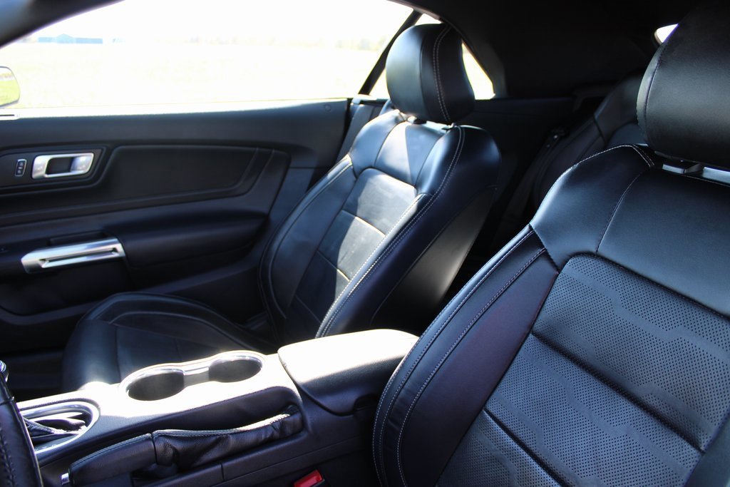 Used 2019 Ford Mustang GT Premium w/ Equipment Group 401A image 13