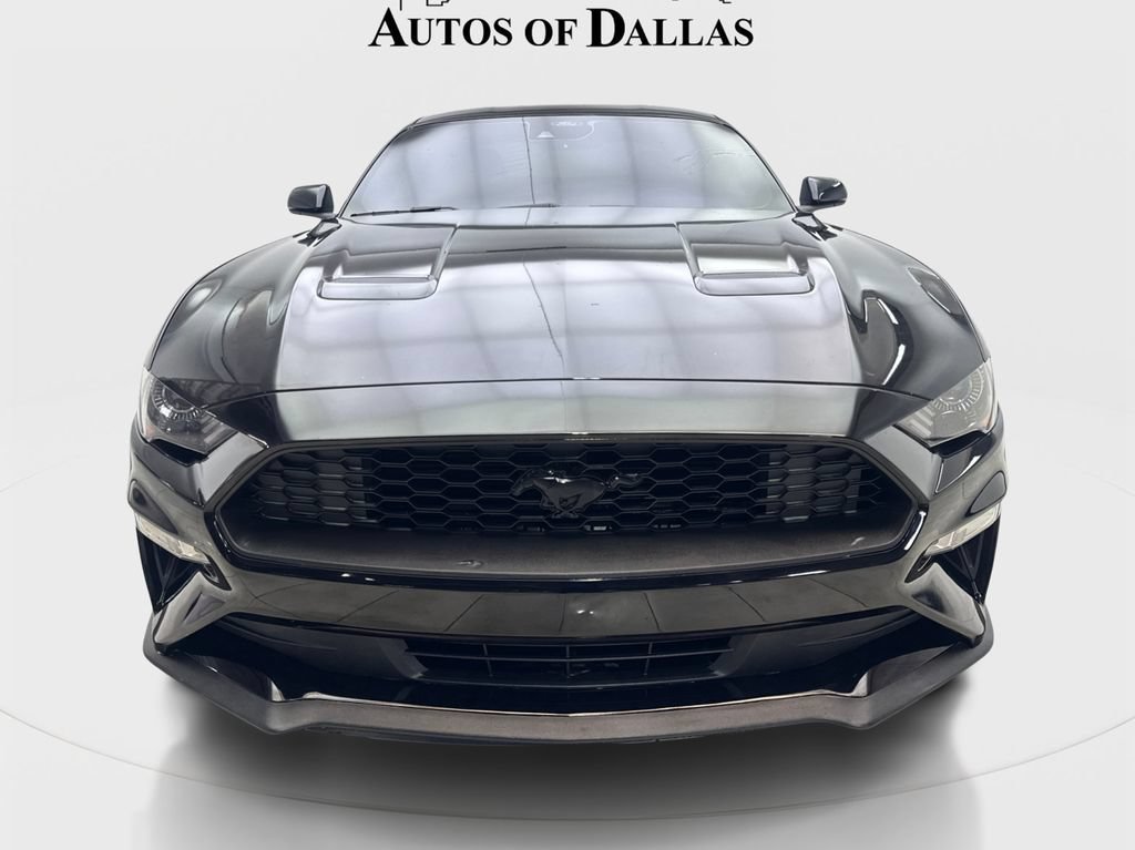 Used 2021 Ford Mustang Premium w/ Equipment Group 201A RWD image 3