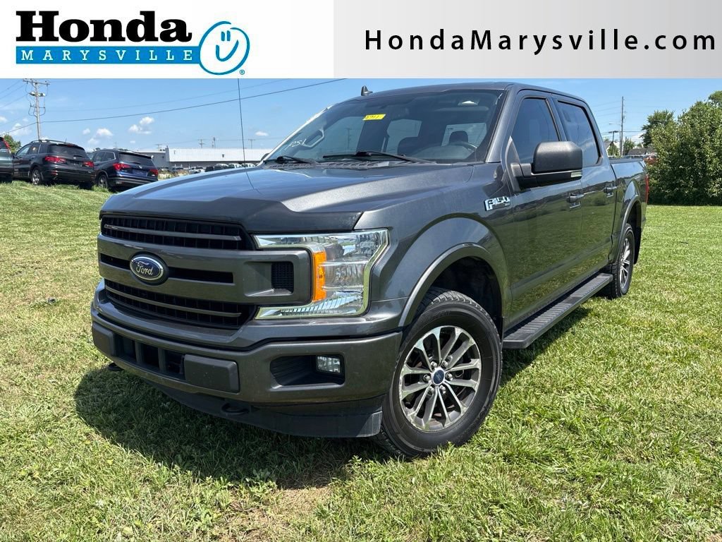 Used 2018 Ford F150 XLT w/ Equipment Group 302A Luxury AWD/4WD image 1