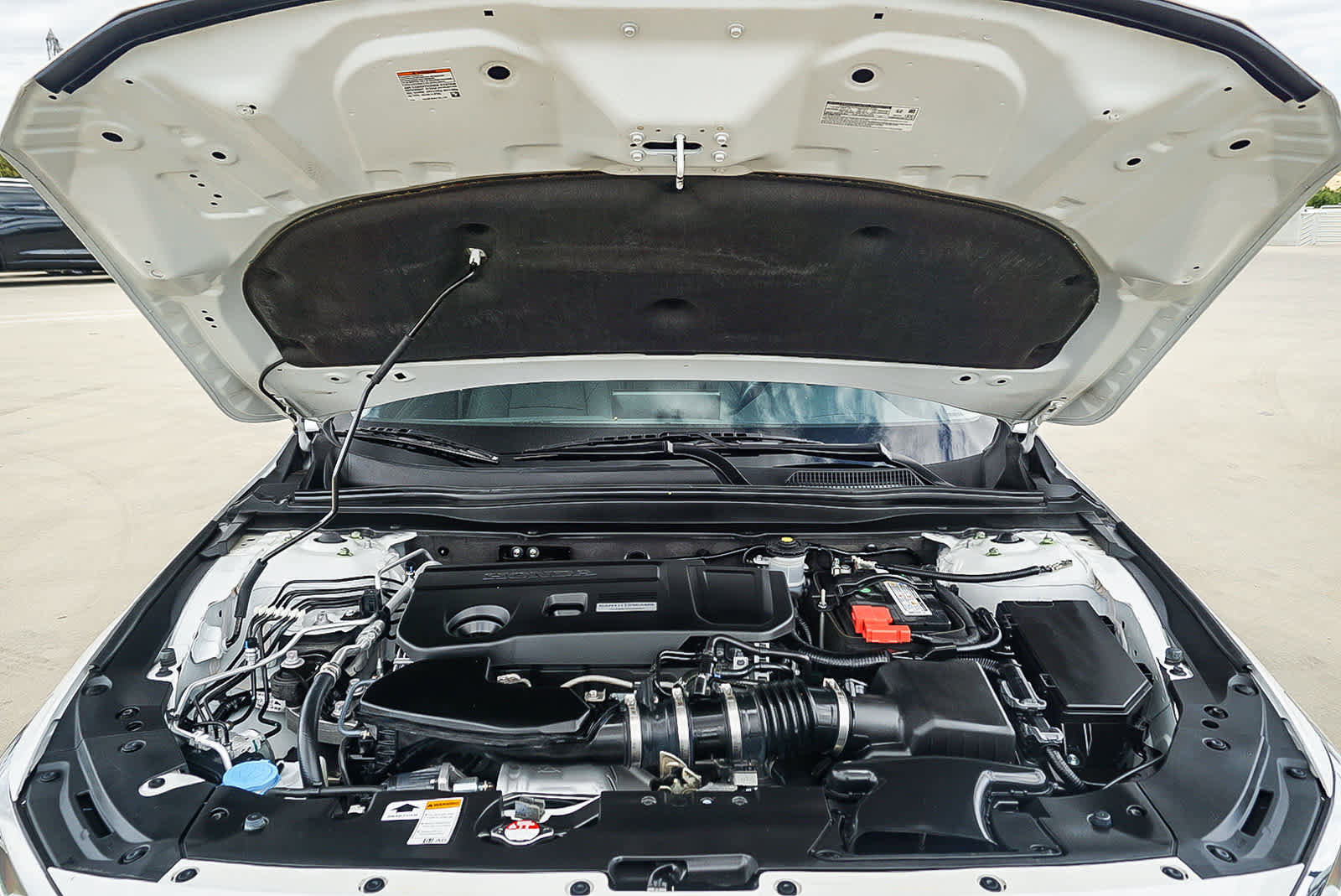 Used 2019 Honda Accord Touring image 29