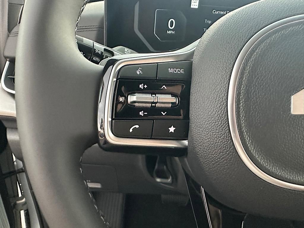 New 2025 Kia Carnival SX Prestige image 25