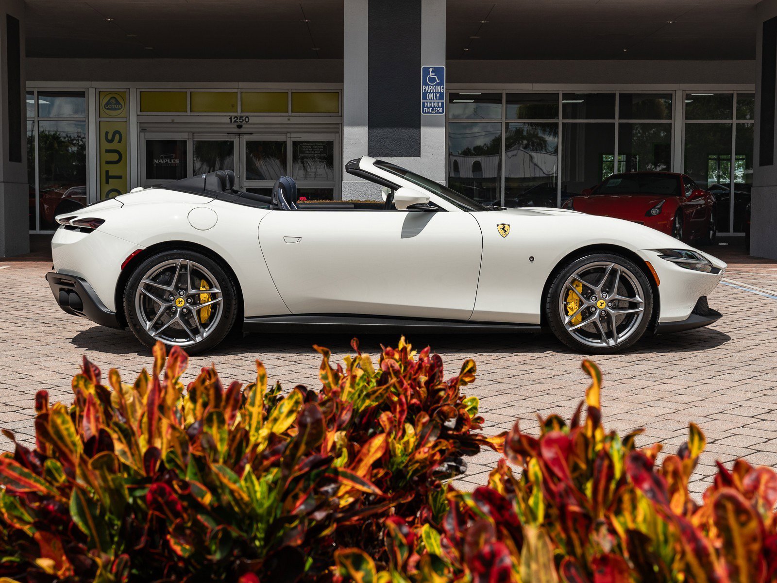 Used 2024 Ferrari Roma Spider image 9