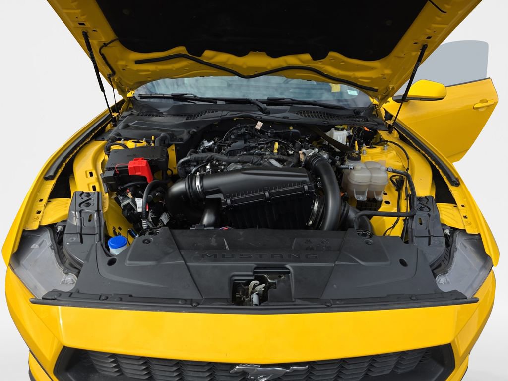 Used 2024 Ford Mustang Premium image 24