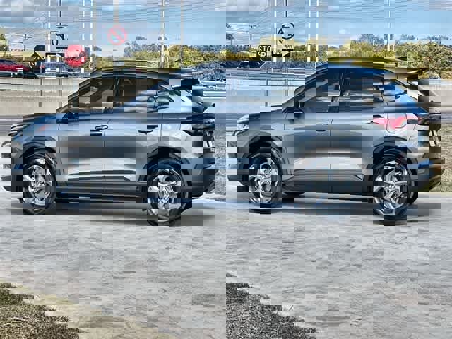 Used 2025 Ford Escape ST-Line w/ Equipment Group 301A image 4