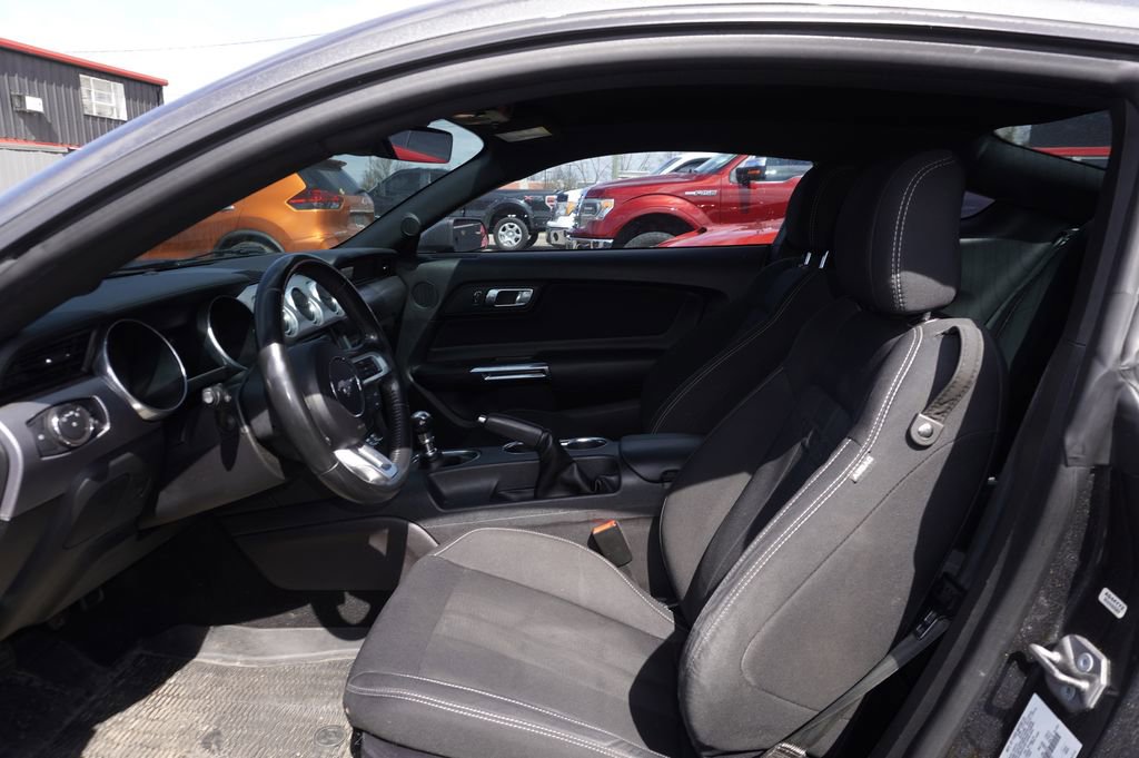 Used 2019 Ford Mustang GT w/ Equipment Group 301A image 3