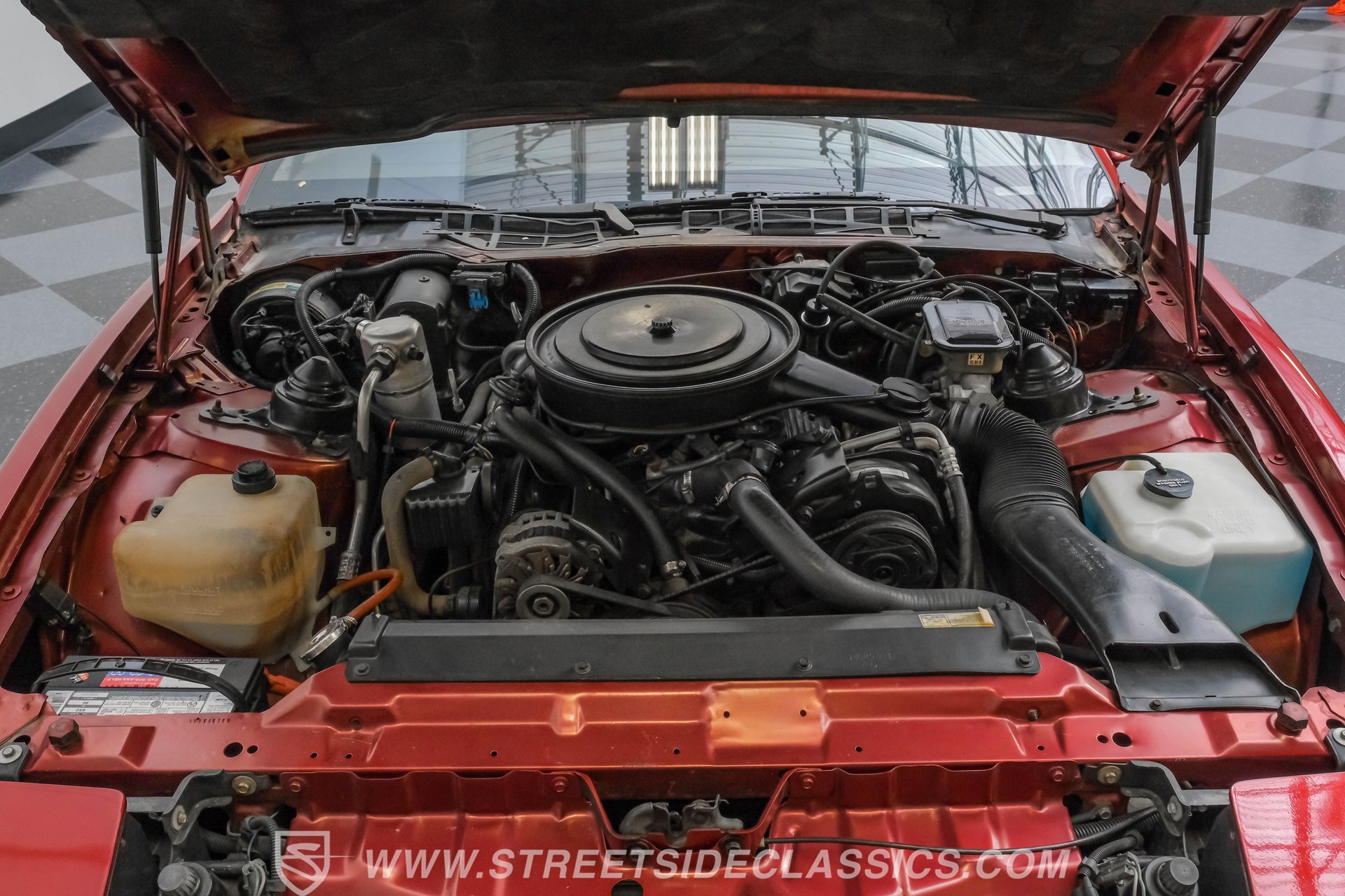 Used 1987 Pontiac Firebird Coupe image 3