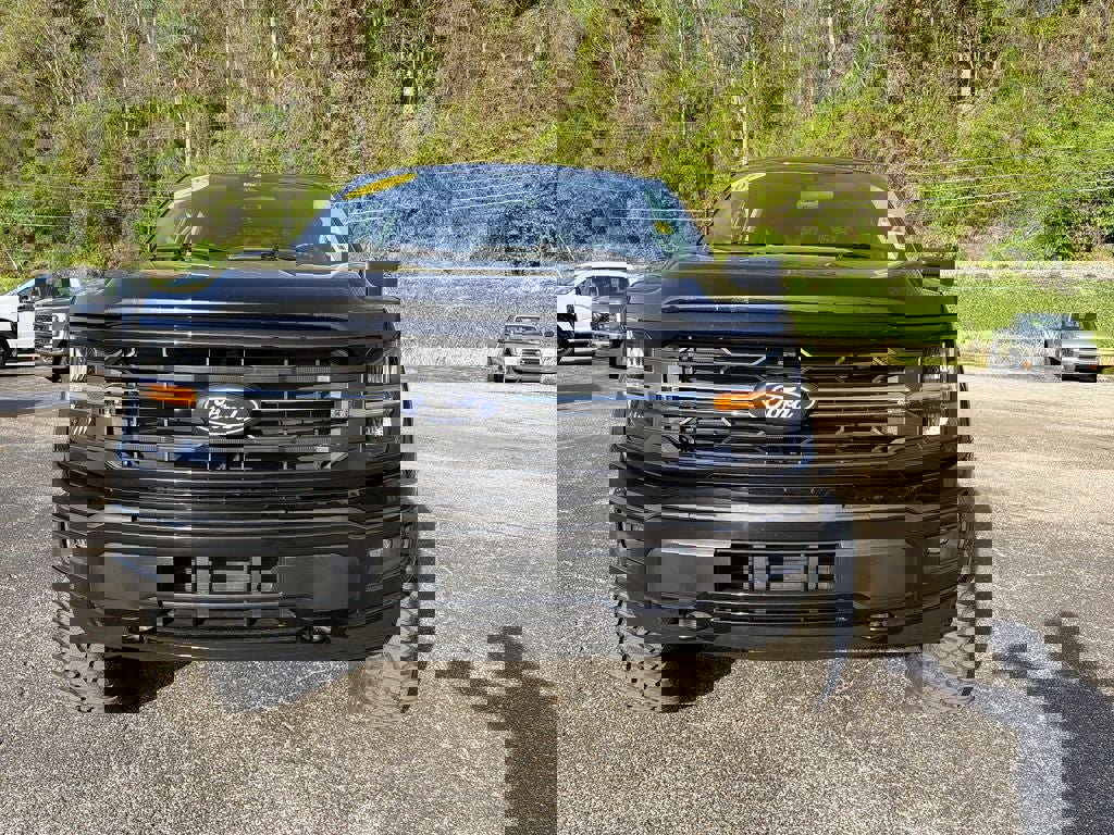 Used 2025 Ford F150 XLT w/ Equipment Group 301A Standard image 11