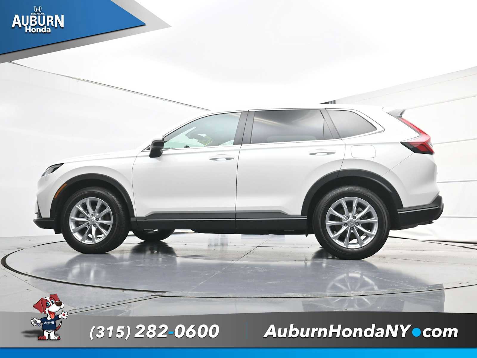 Used 2025 Honda CR-V EX-L image 16