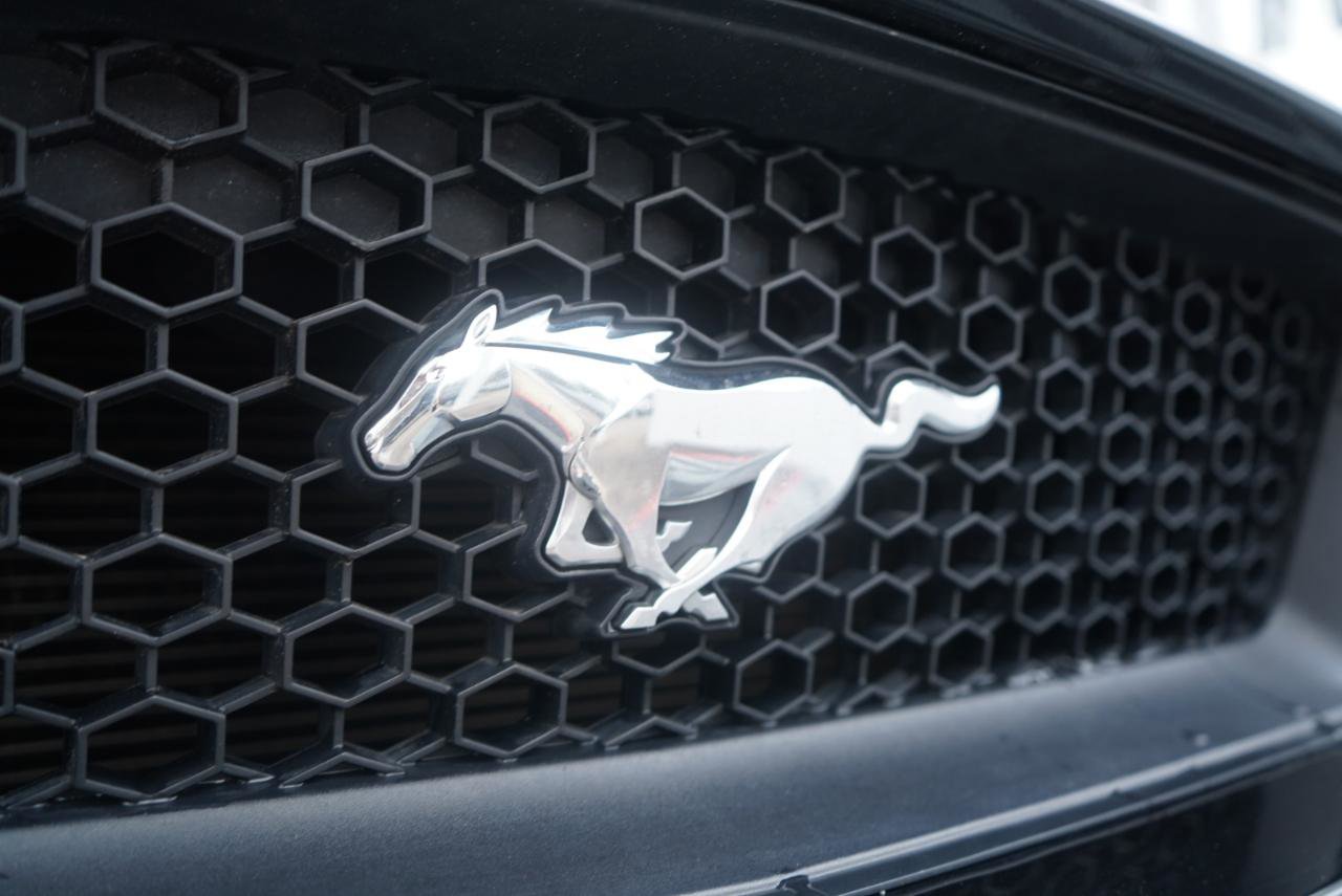 Used 2015 Ford Mustang GT Premium w/ Equipment Group 401A image 93