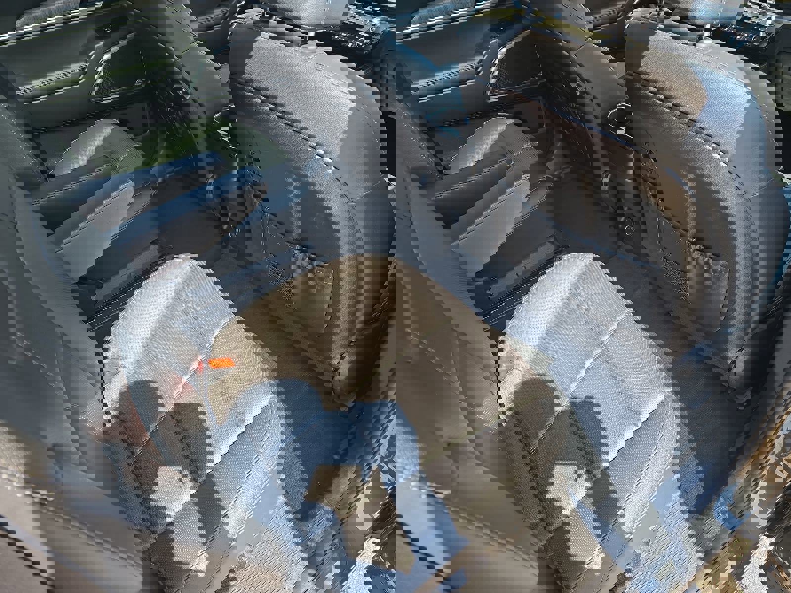 Used 2024 Kia Telluride SX w/ Towing Package image 12