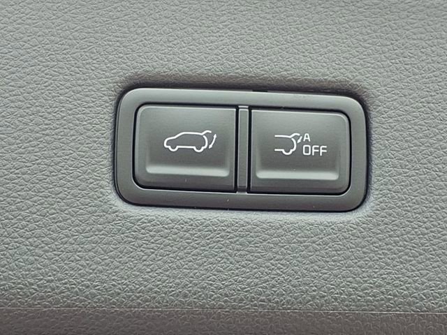 New 2025 Kia Carnival SX w/ SX Dark Edition Package FWD image 24