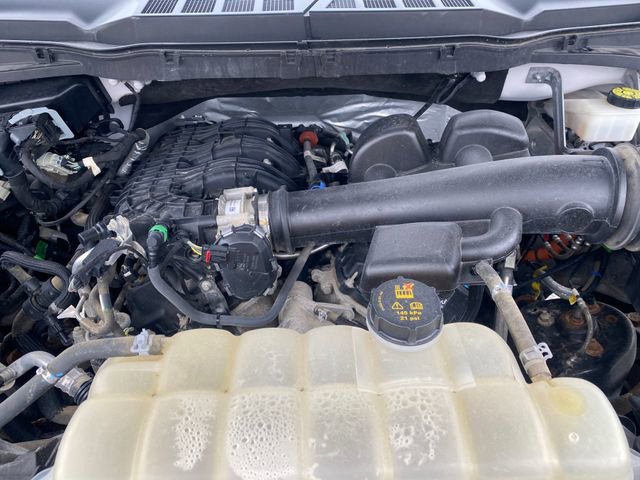 Used 2021 Ford F150 XLT w/ Equipment Group 301A Mid image 18