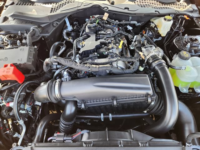 New 2026 Ford Mustang Coupe w/ Mustang Nite Pony Package RWD image 31