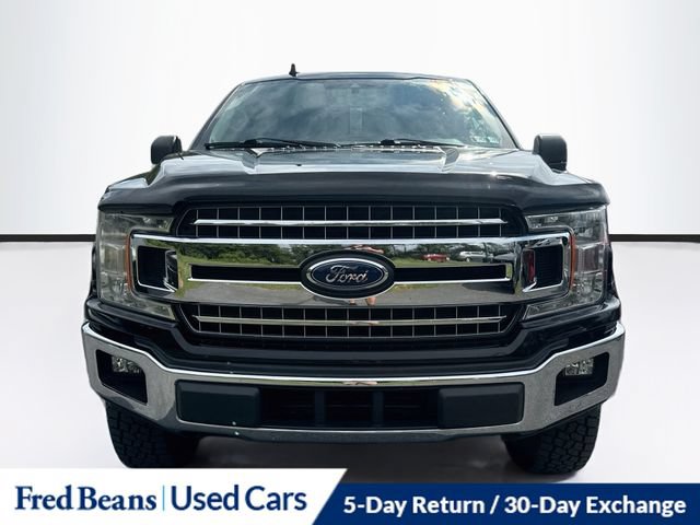 Used 2019 Ford F150 XLT w/ Equipment Group 302A Luxury AWD/4WD image 2