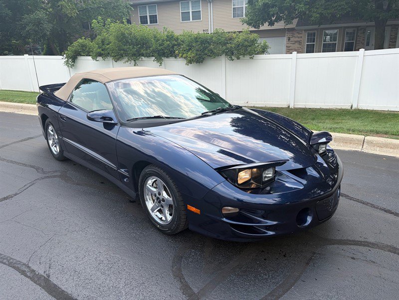 Used 2002 Pontiac Firebird Trans Am RWD image 5