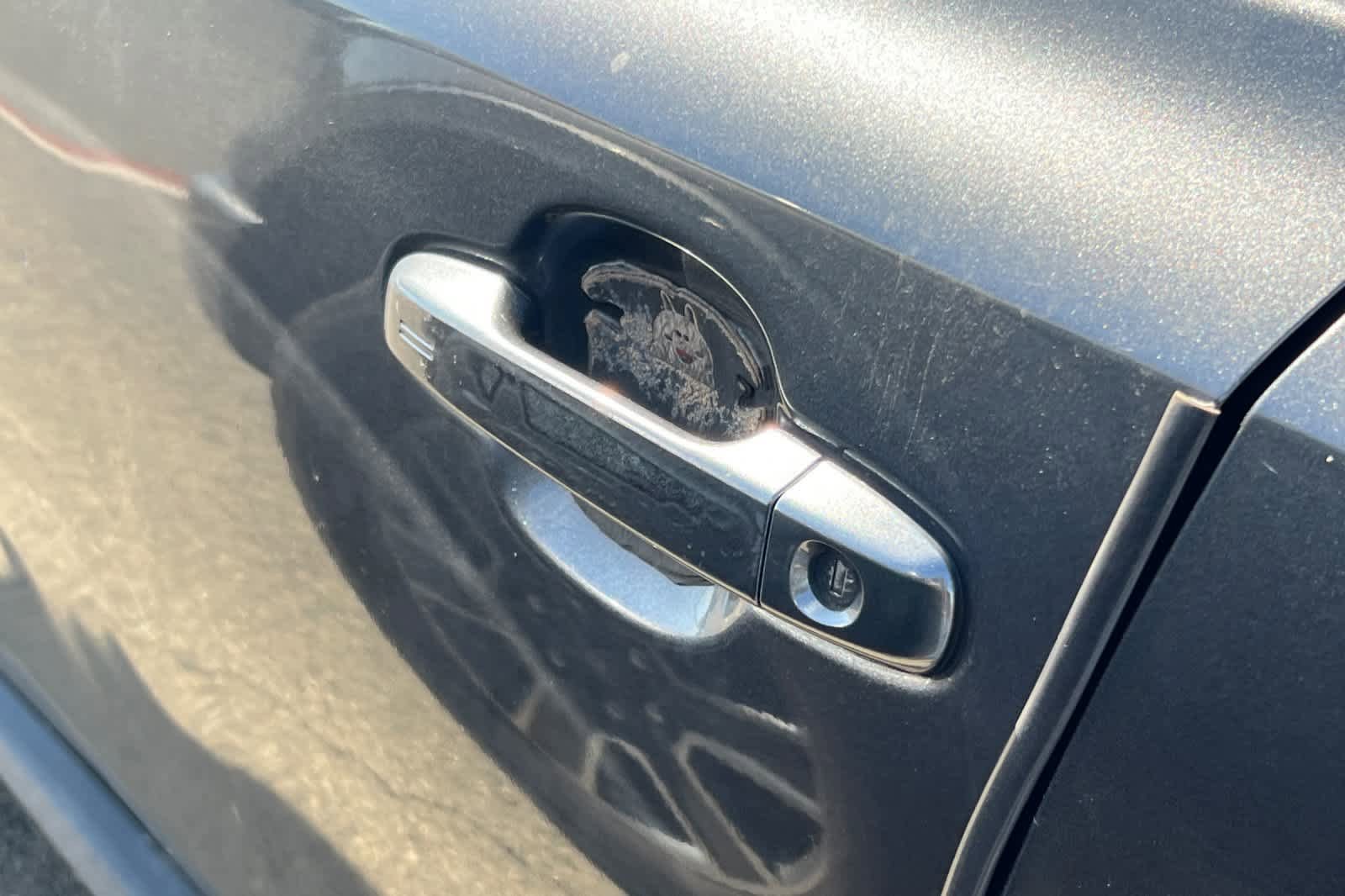 Used 2019 Toyota C-HR XLE FWD image 7