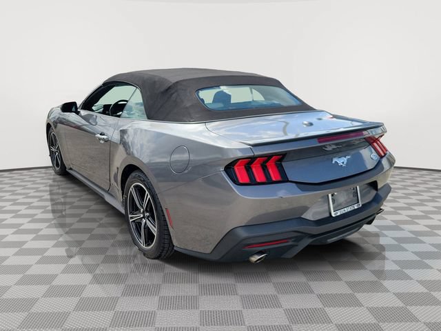 Certified 2024 Ford Mustang Premium RWD image 4