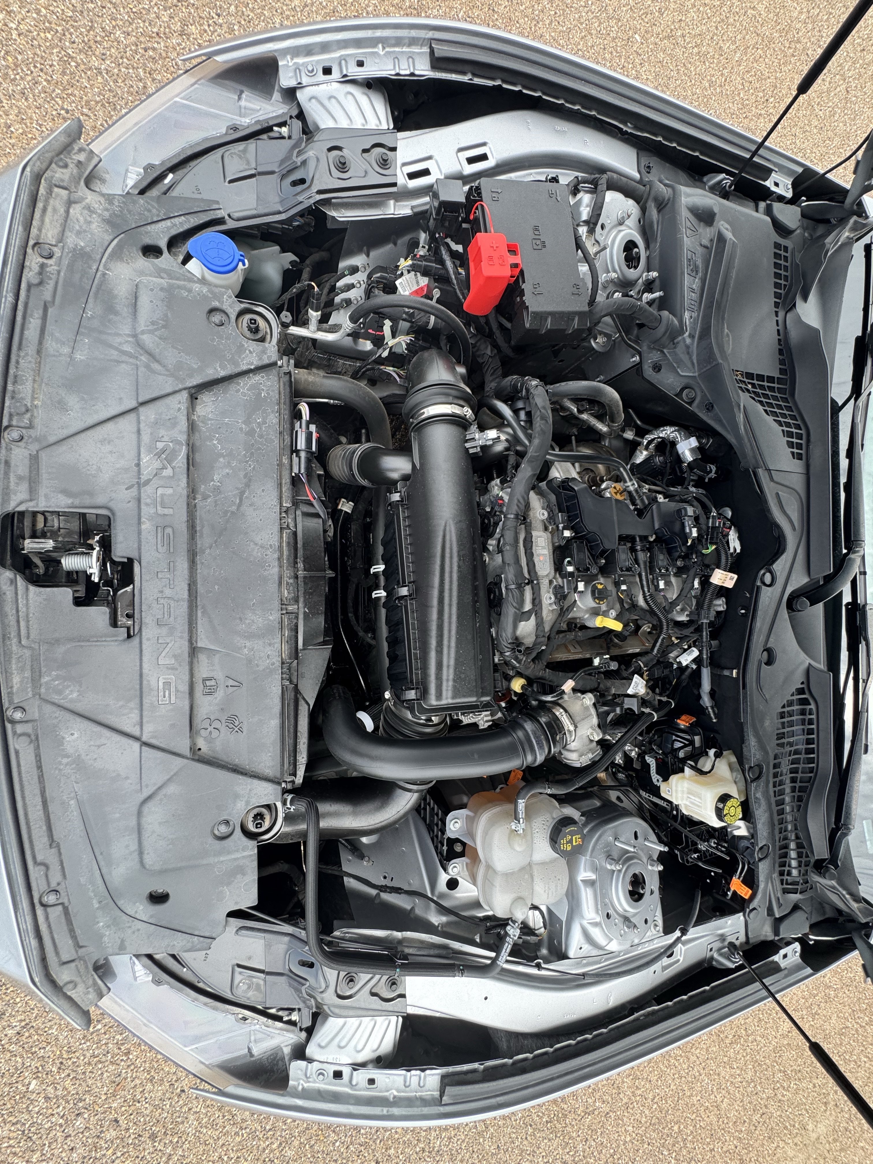 Certified 2024 Ford Mustang Premium RWD image 30