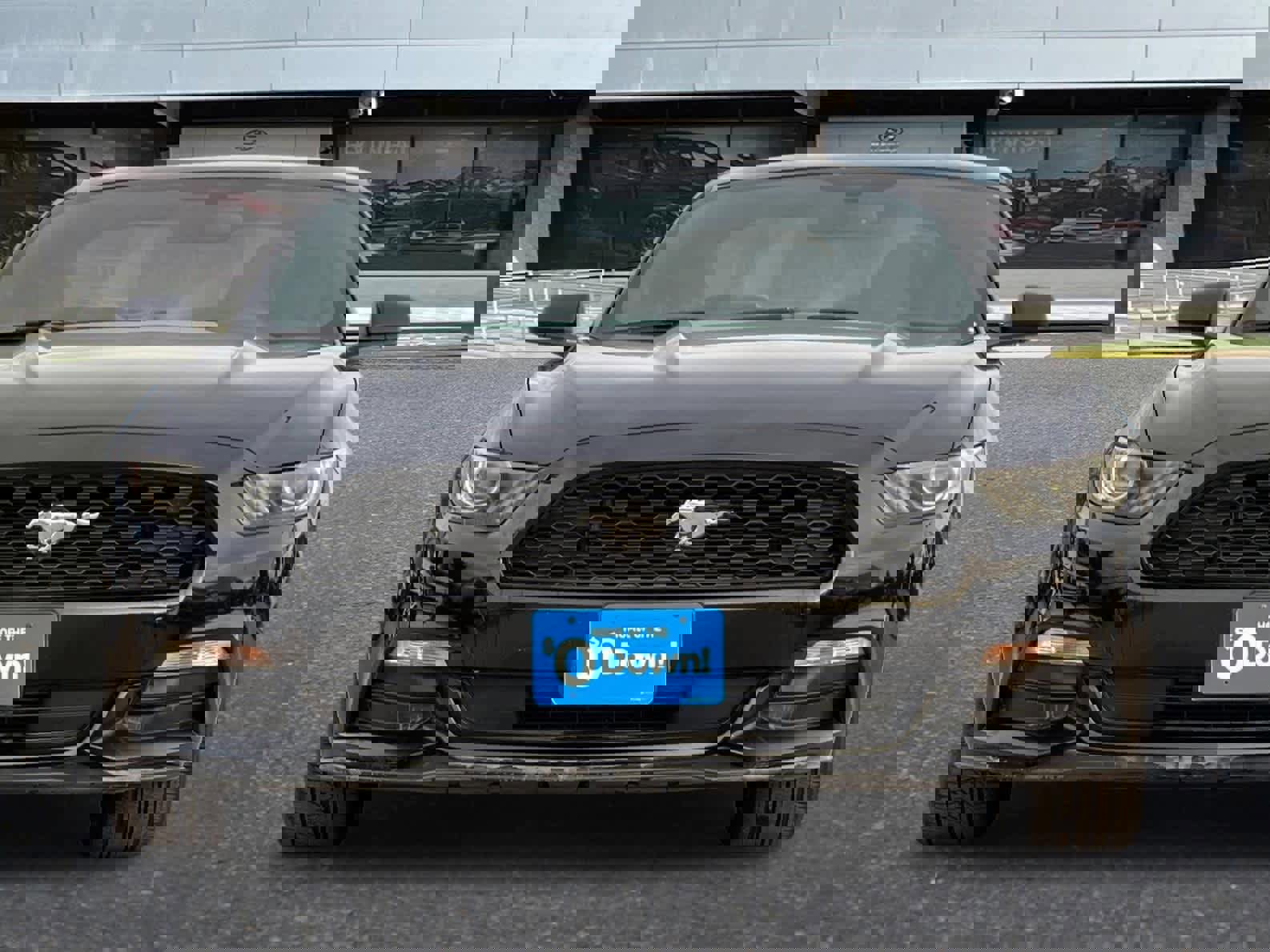 Used 2015 Ford Mustang Coupe image 10