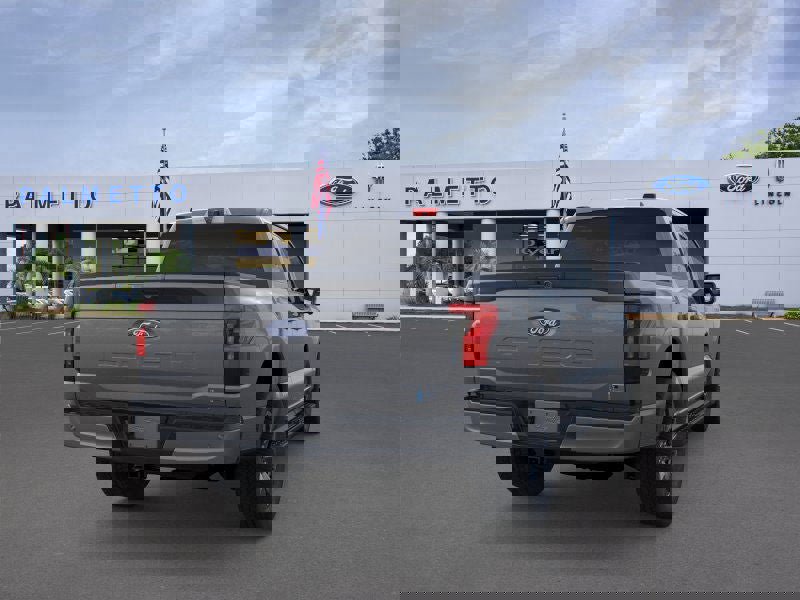 New 2025 Ford F150 Lightning Flash image 8