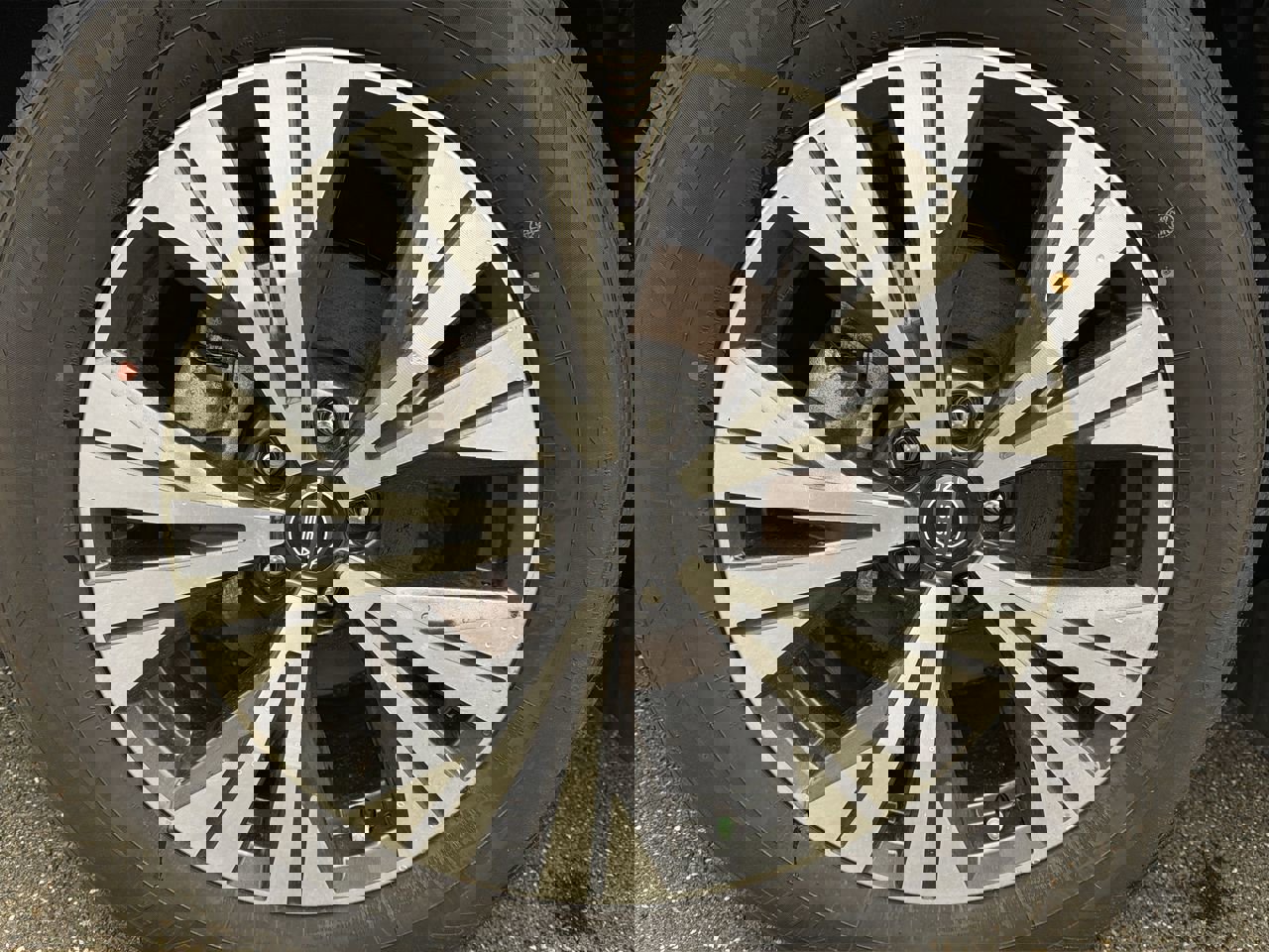 Used 2023 Nissan Rogue SV w/ SV Premium B Package image 10