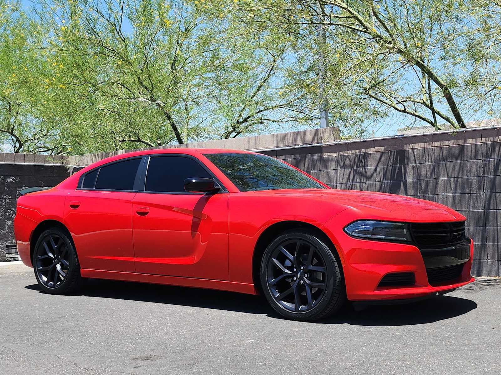Used 2022 Dodge Charger SXT w/ Blacktop Package RWD image 2